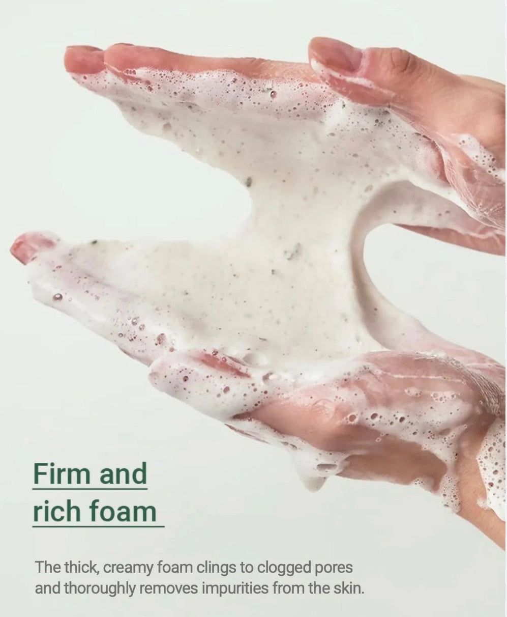 ANUA Heartleaf Quercentinol Pore Deep Cleansing Foam 아누아 어성초 피지쏙 모공 폼