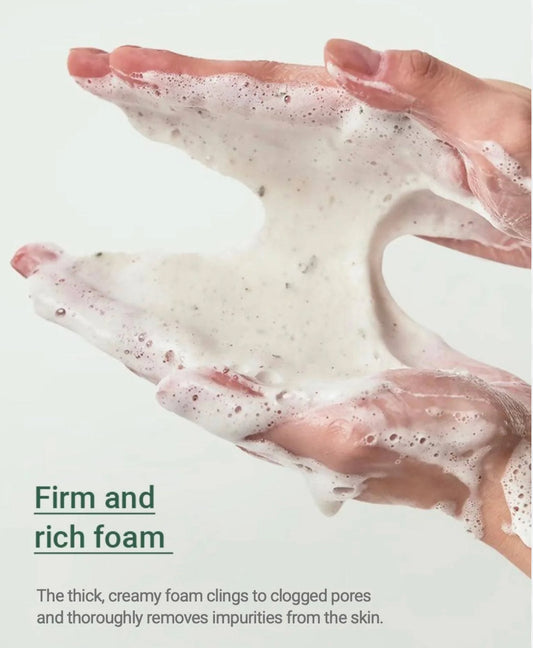 ANUA Heartleaf Quercentinol Pore Deep Cleansing Foam 아누아 어성초 피지쏙 모공 폼